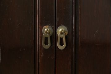 アジアンビンテージ　唐木材　中国クラシックデザインが目を引く照明付き薄型ミラーバックキャビネット(飾り棚、陳列棚、収納棚、戸棚、ガラスケース、ショーケース、コレクションケース、ディスプレイケース、ヴィンテージ、店舗什器)(R-084240)