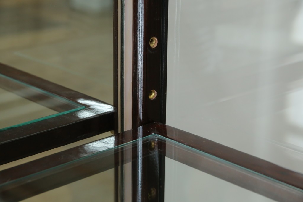 アジアンビンテージ　唐木材　中国クラシックデザインが目を引く照明付き薄型ミラーバックキャビネット(飾り棚、陳列棚、収納棚、戸棚、ガラスケース、ショーケース、コレクションケース、ディスプレイケース、ヴィンテージ、店舗什器)(R-084240)