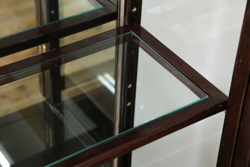 アジアンビンテージ　唐木材　中国クラシックデザインが目を引く照明付き薄型ミラーバックキャビネット(飾り棚、陳列棚、収納棚、戸棚、ガラスケース、ショーケース、コレクションケース、ディスプレイケース、ヴィンテージ、店舗什器)(R-084240)