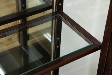 アジアンビンテージ　唐木材　中国クラシックデザインが目を引く照明付き薄型ミラーバックキャビネット(飾り棚、陳列棚、収納棚、戸棚、ガラスケース、ショーケース、コレクションケース、ディスプレイケース、ヴィンテージ、店舗什器)(R-084240)