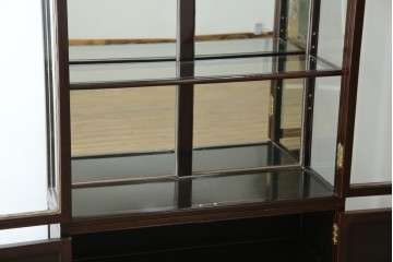 アジアンビンテージ　唐木材　中国クラシックデザインが目を引く照明付き薄型ミラーバックキャビネット(飾り棚、陳列棚、収納棚、戸棚、ガラスケース、ショーケース、コレクションケース、ディスプレイケース、ヴィンテージ、店舗什器)(R-084240)