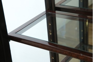 アジアンビンテージ　唐木材　中国クラシックデザインが目を引く照明付き薄型ミラーバックキャビネット(飾り棚、陳列棚、収納棚、戸棚、ガラスケース、ショーケース、コレクションケース、ディスプレイケース、ヴィンテージ、店舗什器)(R-084240)