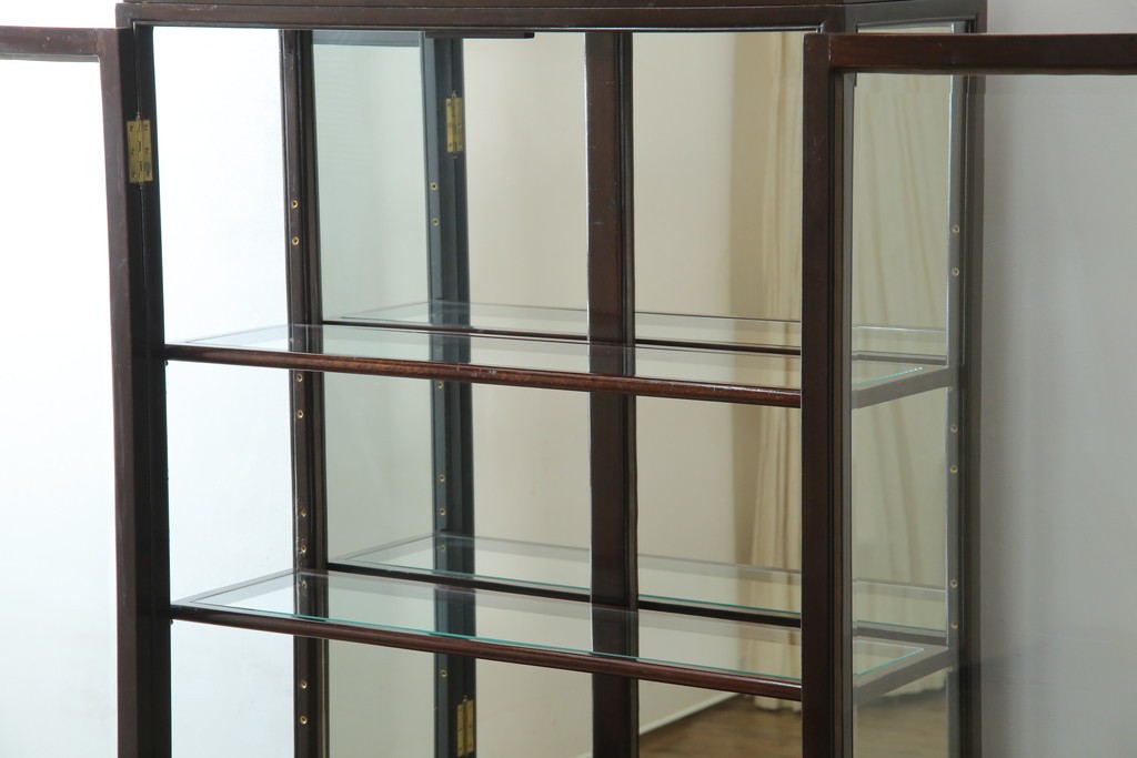 アジアンビンテージ　唐木材　中国クラシックデザインが目を引く照明付き薄型ミラーバックキャビネット(飾り棚、陳列棚、収納棚、戸棚、ガラスケース、ショーケース、コレクションケース、ディスプレイケース、ヴィンテージ、店舗什器)(R-084240)