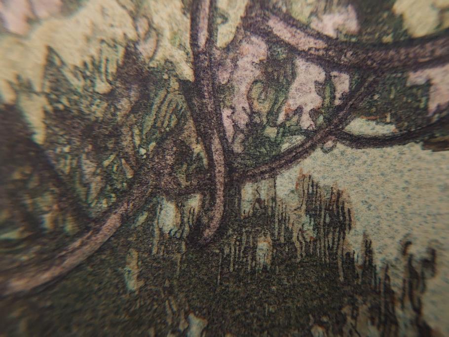 真作　後摺り　昭和10年吉田博作　「藤之庭」　優美な情景が広がる木版画　(R-084362)