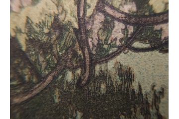 真作　後摺り　昭和10年吉田博作　「藤之庭」　優美な情景が広がる木版画　(R-084362)