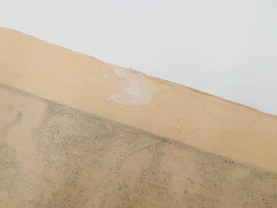 真作　後摺り　昭和10年吉田博作　「藤之庭」　優美な情景が広がる木版画　(R-084362)