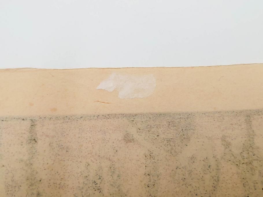 真作　後摺り　昭和10年吉田博作　「藤之庭」　優美な情景が広がる木版画　(R-084362)