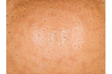 十二代　田原陶兵衛　萩焼　約14cm　4.6寸　素朴ながらも深い味わいを持つ萩茶碗(茶道具、抹茶碗、茶器、茶陶、和食器、裏印、共箱付、四寸六分)(R-084372)