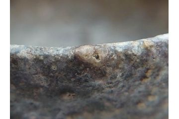 四代 谷清右衛門　信楽焼　約11cm　3.4寸　時間と共に深まる風合いが魅力の茶碗(抹茶碗、茶器、茶陶、裏印、和食器、共箱付、三寸四分)(R-084373)