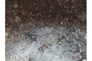 四代 谷清右衛門　信楽焼　約11cm　3.4寸　時間と共に深まる風合いが魅力の茶碗(抹茶碗、茶器、茶陶、裏印、和食器、共箱付、三寸四分)(R-084373)