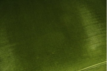 中古　神戸洋家具　メープル不二屋　上品な佇まいが魅力的なアームチェア2脚セット　(R-084421)