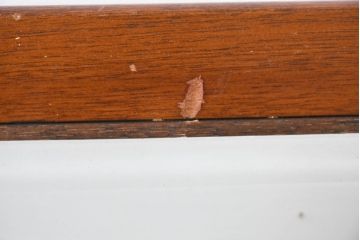 イギリスビンテージ　マホガニー材　象嵌入り　美しさと機能性を兼ね備えた魅せる収納が叶う上開き扉付きショーケース(ガラスケース、Gケース、ディスプレイケース、コレクションケース、飾り棚、陳列棚、店舗什器、ヴィンテージ、英国)(R-084426)