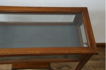 イギリスビンテージ　マホガニー材　象嵌入り　美しさと機能性を兼ね備えた魅せる収納が叶う上開き扉付きショーケース　(R-084426)