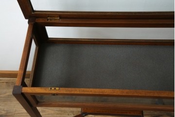 イギリスビンテージ　マホガニー材　象嵌入り　美しさと機能性を兼ね備えた魅せる収納が叶う上開き扉付きショーケース　(R-084426)