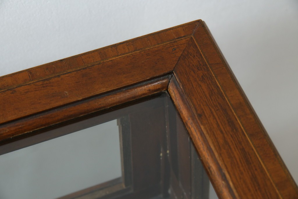 イギリスビンテージ　マホガニー材　象嵌入り　美しさと機能性を兼ね備えた魅せる収納が叶う上開き扉付きショーケース　(R-084426)