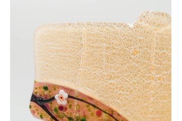 黒木国昭　金彩象嵌　光琳　着物　ガラス　高さ 約31cm　華やかで可愛らしい置物　(R-084497)