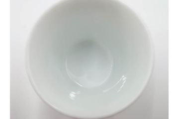 人間国宝　十三代　酒井田柿右衛門　染錦　柿文　優美な雰囲気が漂うぐい呑((R-084499)
