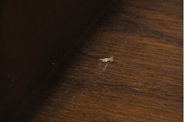 《天板取り付け加工費込み》中古　美品　民芸家具　和光　ナラ材　落ち着いた佇まいが魅力的な引き出し付き水屋箪笥サイドキャビネット　(R-084582)