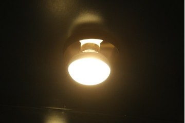 中古　小振りサイズ!!　高貴なロイヤルブルーと高級感あふれるゴールドの装飾が目を引く縦型キュリオケース　(R-084602)