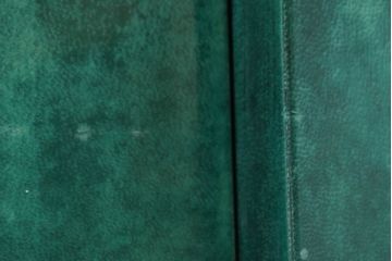 イタリアビンテージ　美品!!　希少!!　イタリア高級家具　アルド・トゥーラ(ALDO TURA)　仔山羊革張り　空間を彩るグリーンがアクセントになる個性派ワードローブ(洋服タンス、ジャケットタンス、収納棚、戸棚、ヴィンテージ)(R-084605)