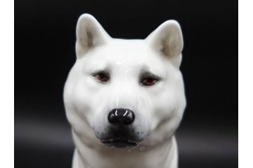 ノリタケ　NORITAKE　スタジオコレクション　秋田犬　高さ 約20cm　精悍な顔つきに惹かれるフィギュリン　(R-084626)