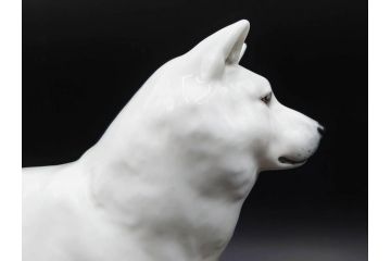 ノリタケ　NORITAKE　スタジオコレクション　秋田犬　高さ 約20cm　精悍な顔つきに惹かれるフィギュリン　(R-084626)