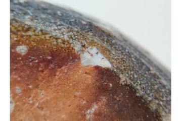 滋賀県指定無形文化財　四代 上田直方　信楽焼　高さ 約30cm　温かみのある風合いが魅力の花瓶　(R-084634)