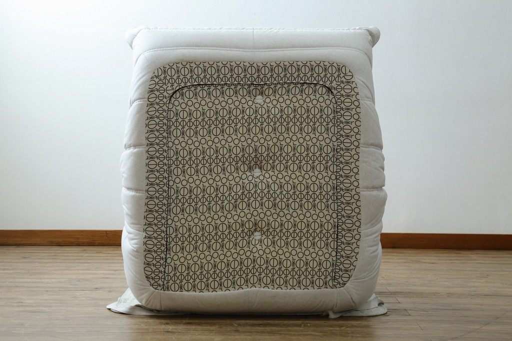 中古　極美品　2024年購入　Ligne roset(リーン・ロゼ)　ROSETTOGO(ロゼトーゴ)　DENDEN(デンデン)　50周年　保証書付き　洗練されたモダンデザインが目を引く1人掛けソファ　(R-084650)