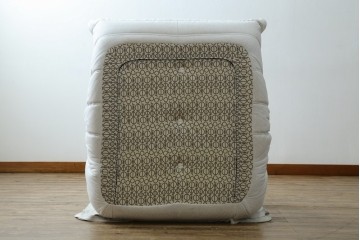 中古　極美品　2024年購入　Ligne roset(リーン・ロゼ)　ROSETTOGO(ロゼトーゴ)　DENDEN(デンデン)　50周年　保証書付き　洗練されたモダンデザインが目を引く1人掛けソファ　(R-084650)