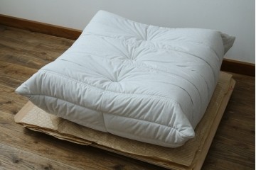 中古　極美品　2024年購入　Ligne roset(リーン・ロゼ)　ROSETTOGO(ロゼトーゴ)　DENDEN(デンデン)　50周年　保証書付き　洗練されたモダンデザインが目を引くパフ　(R-084651)