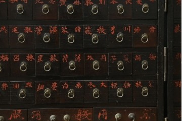 和製アンティーク　激レア　博物館クラス　極小サイズ　真鍮金具が目を惹く折り畳み式の小さな薬箪笥　(R-084761)