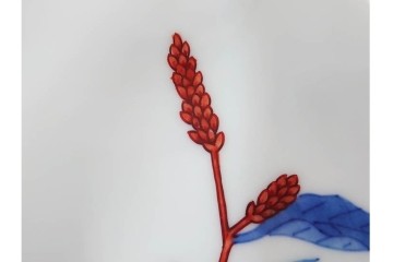 今泉今右衛門　蓼絵　約14cm　4.5寸　気品のある佇まいの銘々皿5枚セット　(R-084773)