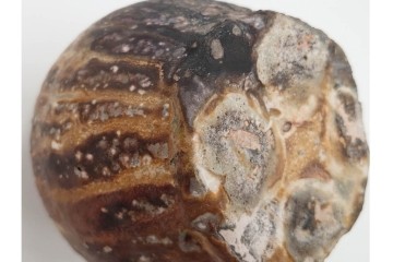 谷本洋　伊賀　高さ 約15cm　力強い造形が魅力の蹲花入　(R-084781)