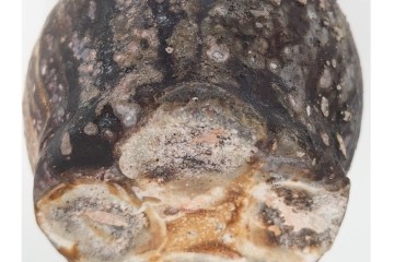 谷本洋　伊賀　高さ 約15cm　力強い造形が魅力の蹲花入　(R-084781)