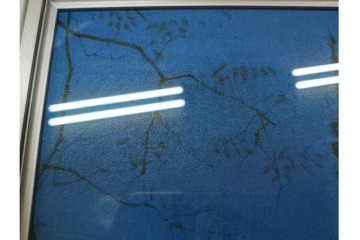 複製画(工藝画)　平山郁夫　「薬師寺の塔」　外箱付き　(R-084790)　