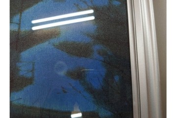 複製画(工藝画)　平山郁夫　「薬師寺の塔」　外箱付き　(R-084790)　