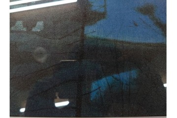 複製画(工藝画)　平山郁夫　「薬師寺の塔」　外箱付き　(R-084790)　