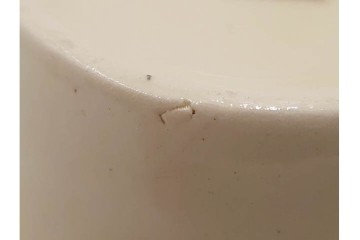 イギリスビンテージ　Susie Cooper(スージークーパー)　グレイリーフ　ドレスデンスプレイ　プランタン　カクタス　アカデミーパターン(チューリップ)　テーブルに華やかさと温かみを添えるカップ&ソーサー4客・プレート5枚セット　(R-084795)