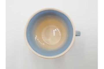 イギリスビンテージ　Susie Cooper(スージークーパー)　グレイリーフ　ドレスデンスプレイ　プランタン　カクタス　アカデミーパターン(チューリップ)　テーブルに華やかさと温かみを添えるカップ&ソーサー4客・プレート5枚セット　(R-084795)