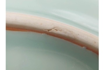 江戸期　古伊万里　青磁　色絵　約20cm　6.4寸　上品な絵付けが美しい中皿5枚セット　(R-084799)