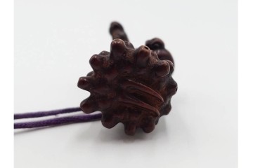 江戸～明治期　梅鳥図蒔絵四段印籠　猿に筍の木彫り根付付き　木彫　匠の美技を感じる印籠・根付　(R-084802)