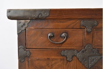 アジアンヴィンテージ　アンティーク調　蝶の羽をモチーフにしたシンメトリーデザインが魅力的な李朝箪笥　(R-084806)