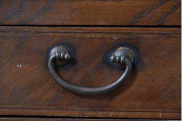 アジアンヴィンテージ　アンティーク調　蝶の羽をモチーフにしたシンメトリーデザインが魅力的な李朝箪笥　(R-084807)