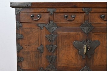 アジアンヴィンテージ　アンティーク調　蝶の羽をモチーフにしたシンメトリーデザインが魅力的な李朝箪笥　(R-084807)