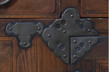 アジアンヴィンテージ　アンティーク調　蝶の羽をモチーフにしたシンメトリーデザインが魅力的な李朝箪笥　(R-084807)