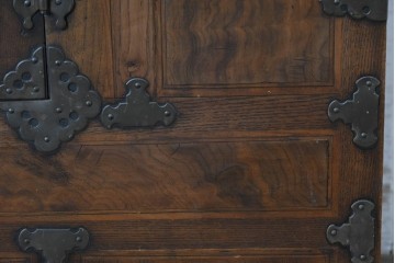 アジアンヴィンテージ　アンティーク調　蝶の羽をモチーフにしたシンメトリーデザインが魅力的な李朝箪笥　(R-084807)