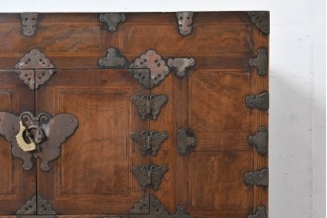 アジアンヴィンテージ　アンティーク調　蝶の羽をモチーフにしたシンメトリーデザインが魅力的な李朝箪笥　(R-084808)