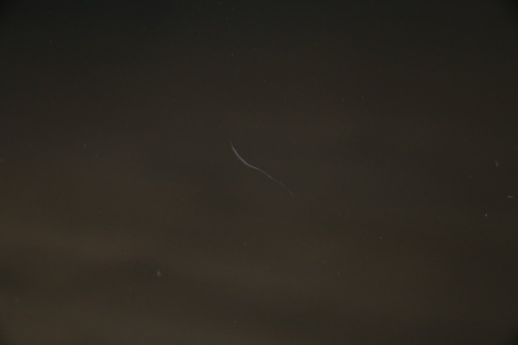 中古　スイス　USMハラー(USM Haller)　ガラスパネル　ドロップダウンドア×1　エクステンションドア×1　キャビネット　定価約45万円　(R-084832)