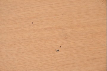 和製ヴィンテージ　天童木工(Tendo)　曲線が生み出すやわらかなシルエットが魅力のローテーブル　(R-084855)