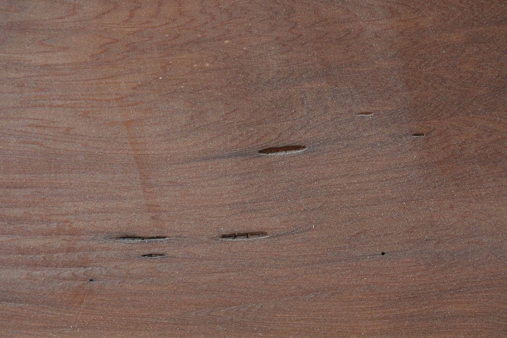 ヴィンテージ建具　昭和中期　すっきりとしたデザインのガラス戸1枚　(R-084877)